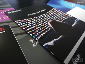 全方位創意服務 從網頁設計到品牌形象的一站式解決方案